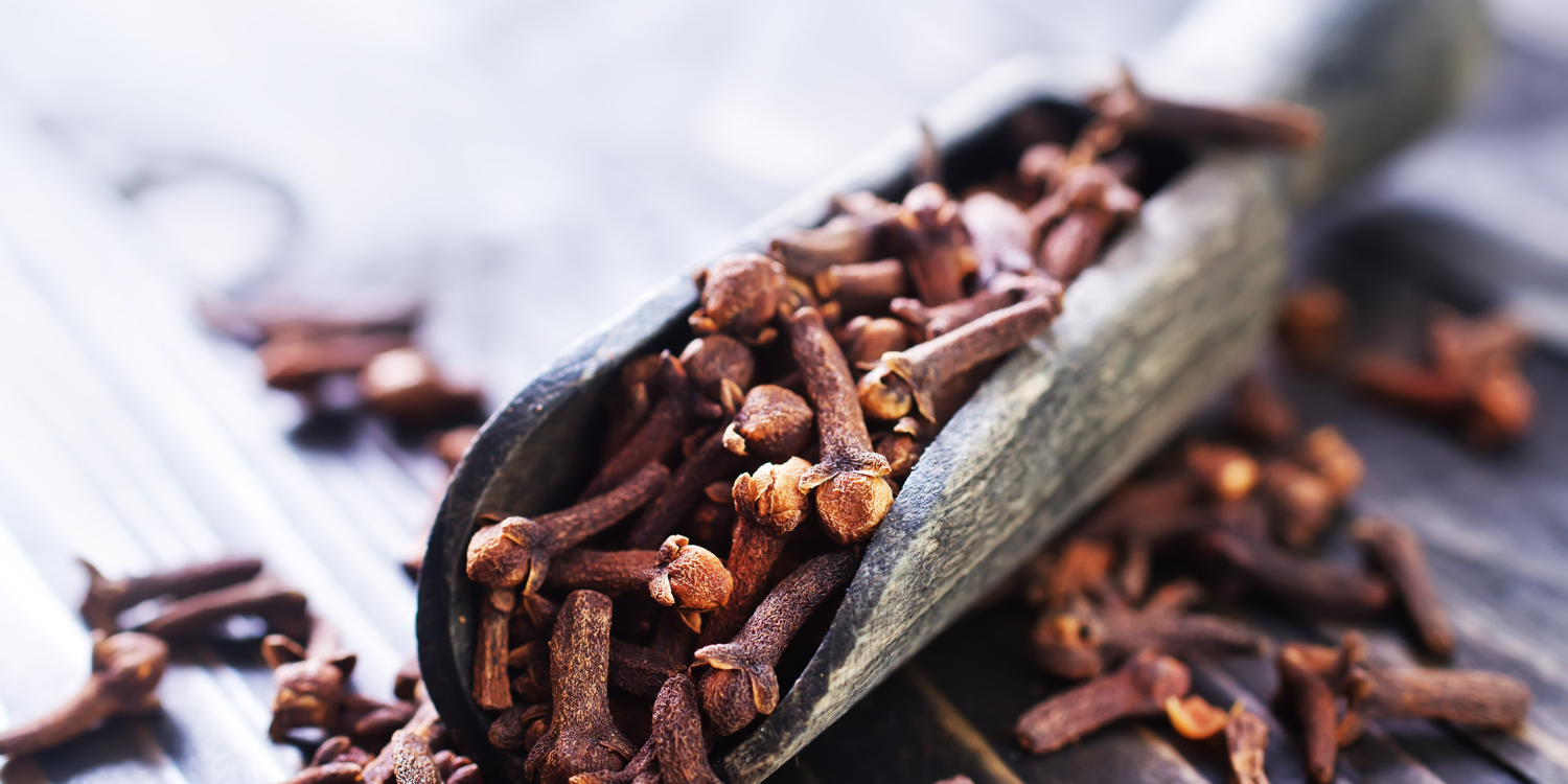 Clove Bud Essential Oil