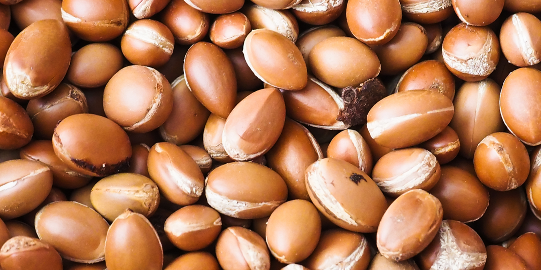 Argan Carrier Oil