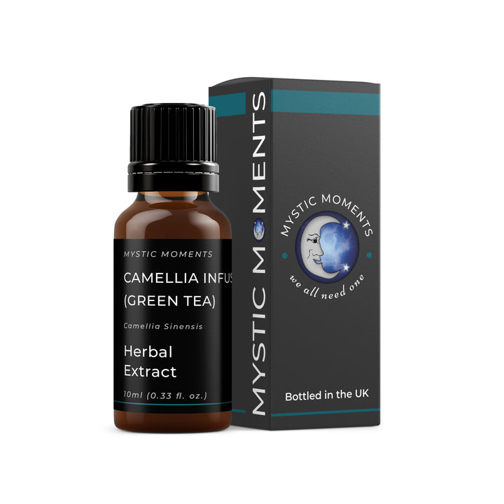 Camellia Infused (Green Tea) Oil- Herbal Extracts