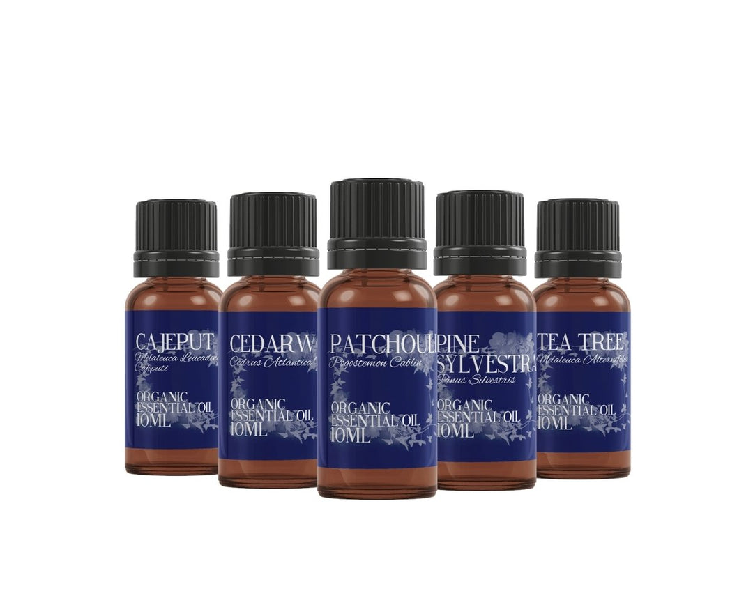 Organic Woodland | Essential Oil Gift Starter Pack - Mystic Moments UK