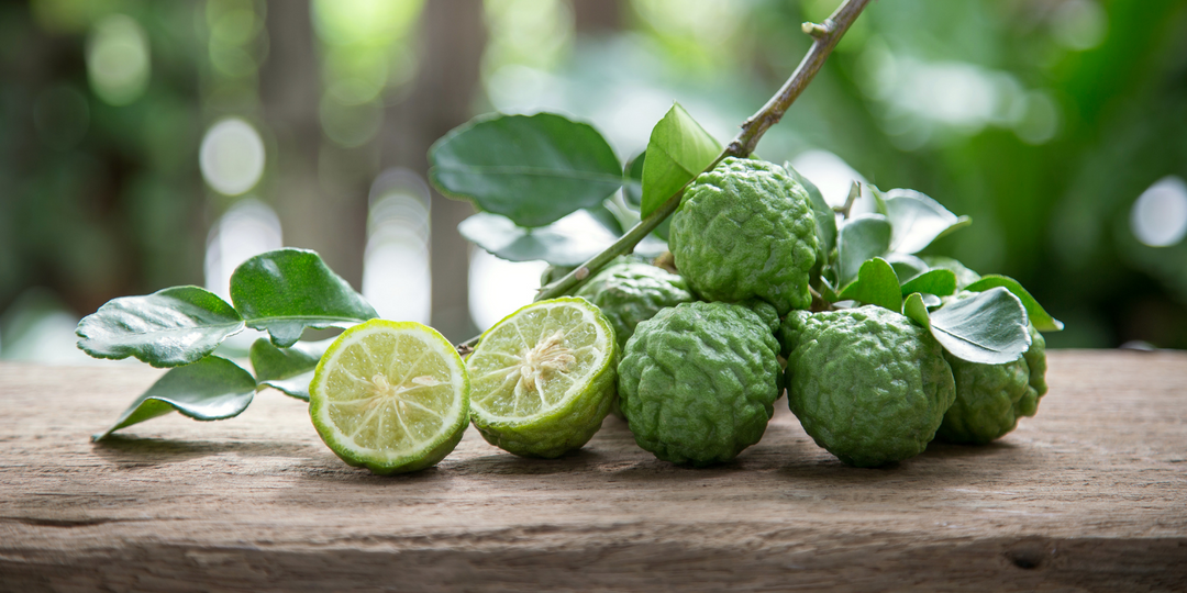 Bergamot Essential Oil