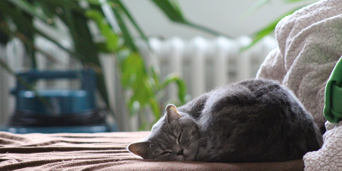 The Power of Sleep: Why Your Routine Matters More Than You Think