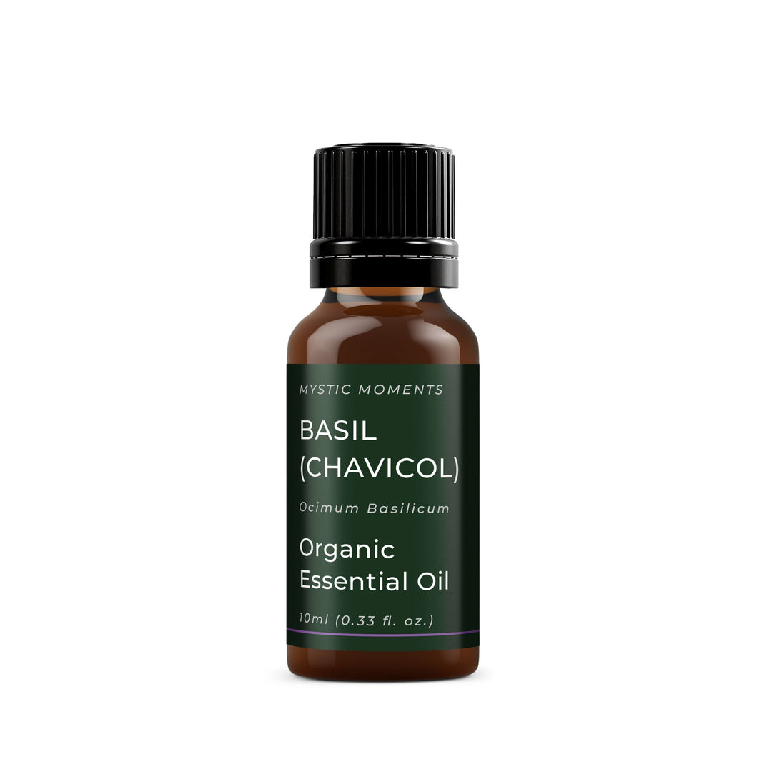 🎁 Basil (Chavicol) Organic Essential Oil (100% off)