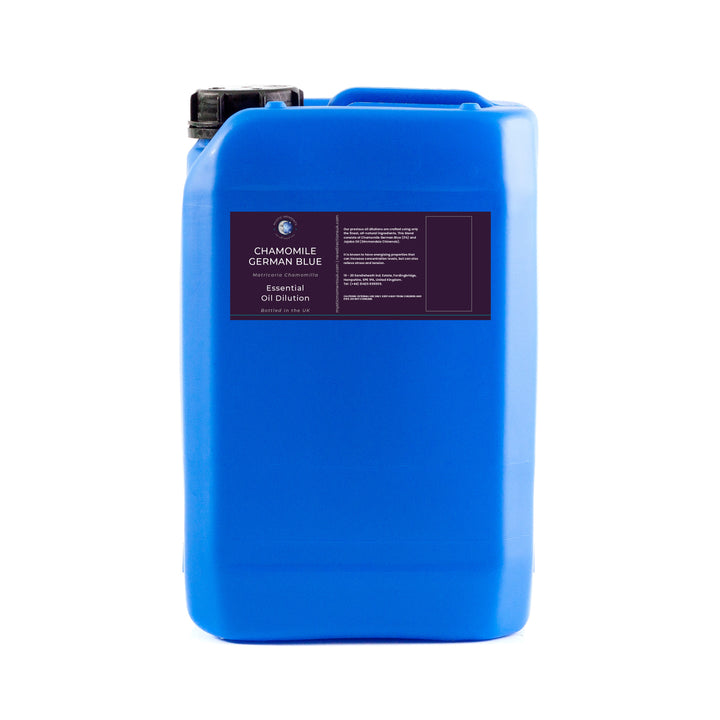 Dilución de aceite esencial de manzanilla azul alemán