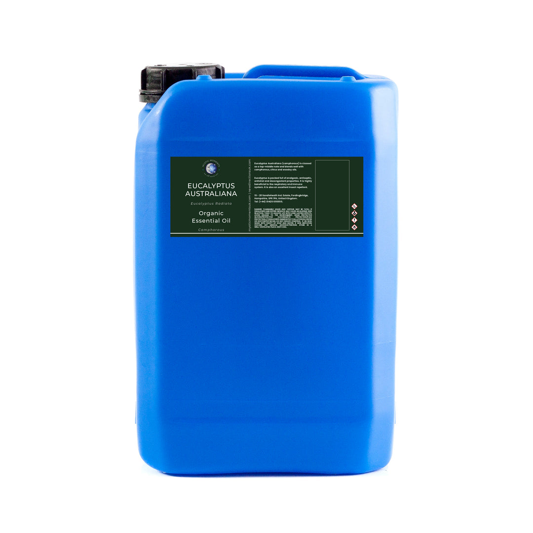 Olio essenziale di eucalipto australiano (biologico)