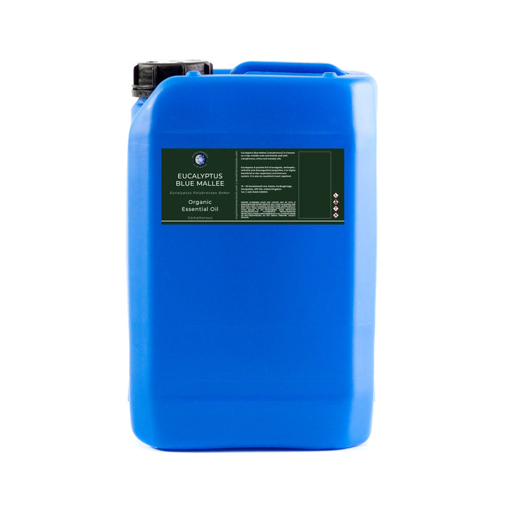 Aceite esencial de eucalipto azul mallee (orgánico)