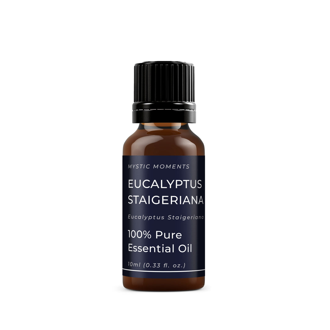 🎁 Eucalyptus Staigeriana Essential Oil (100% off)
