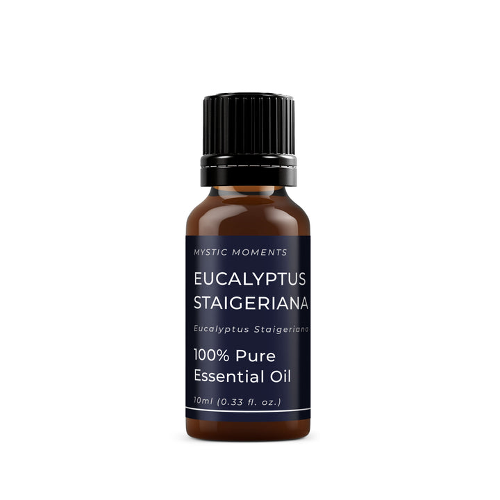 🎁 Eucalyptus Staigeriana Essential Oil (100% off)