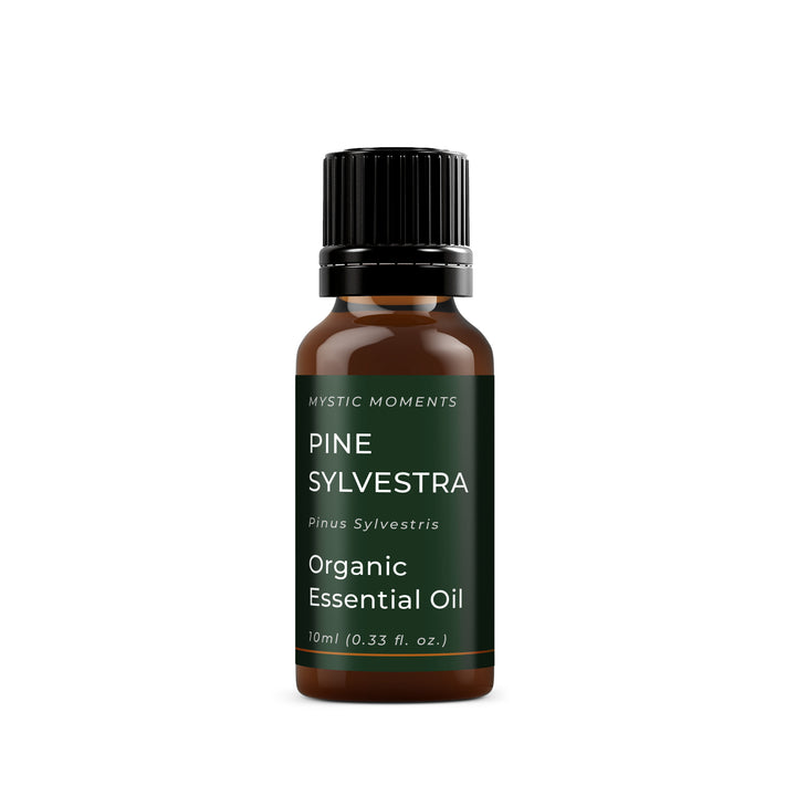 Pine Sylvestra Essential Oil (Organic)
