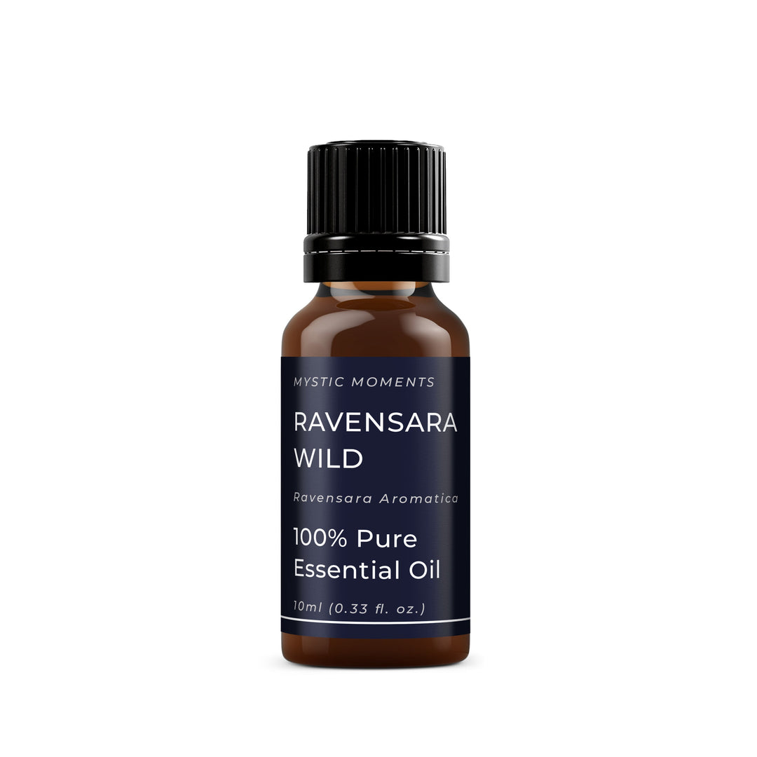 🎁 Ravensara Wild Essential Oil (100% off)