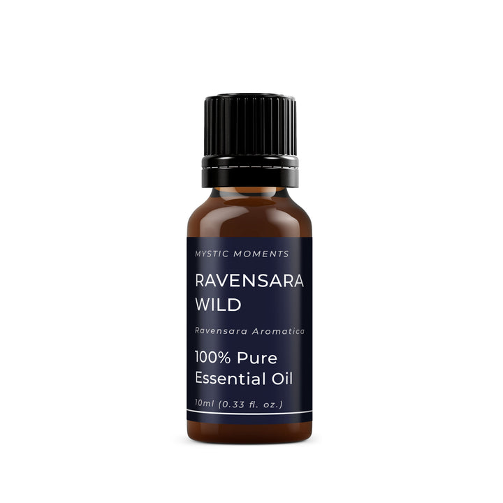 🎁 Ravensara Wild Essential Oil (100% off)