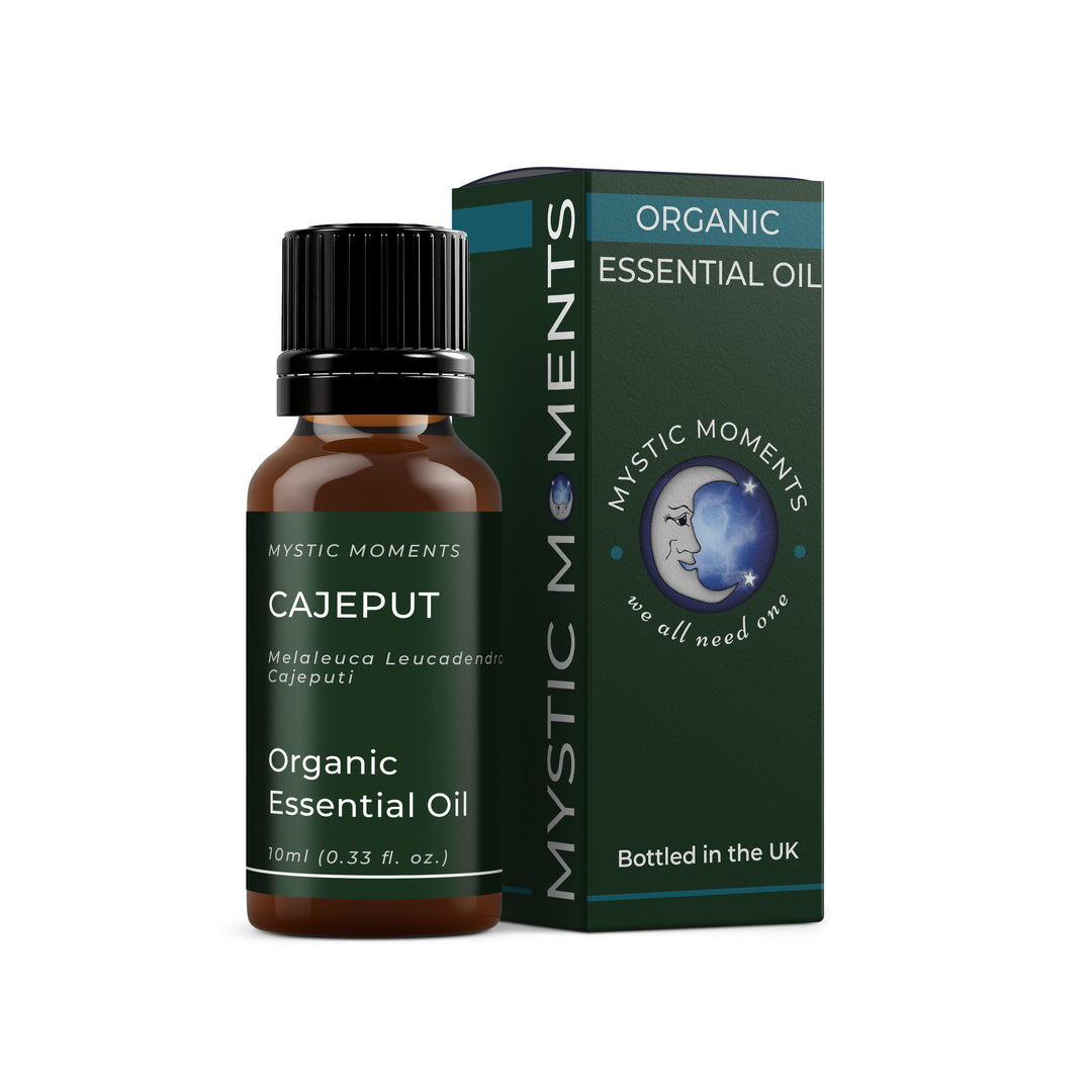 Cajeput Essential Oil (Organic)