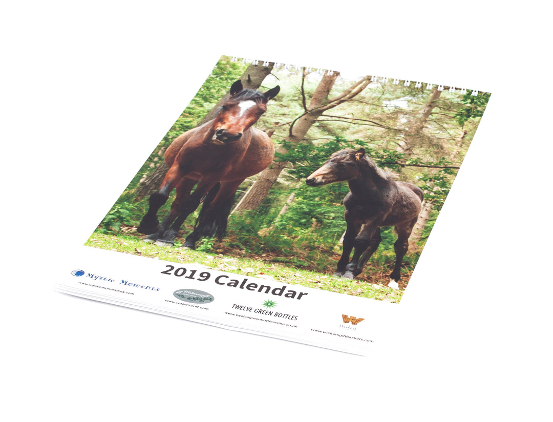 Calendrier caritatif 2019