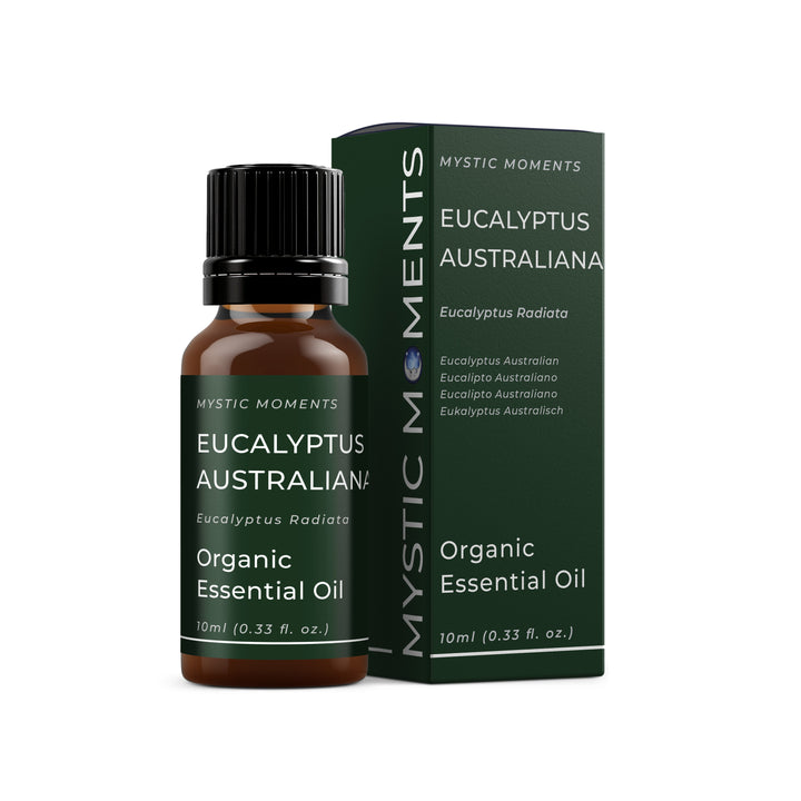 Huile essentielle d'eucalyptus australien (biologique)