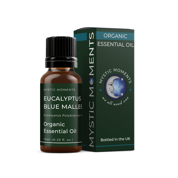 Aceite esencial de eucalipto azul mallee (orgánico)