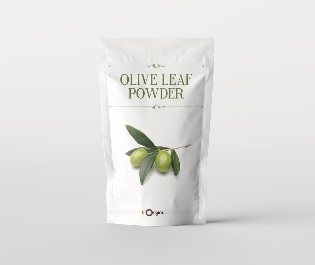 Olivenblattpulver – Kräuterextrakte
