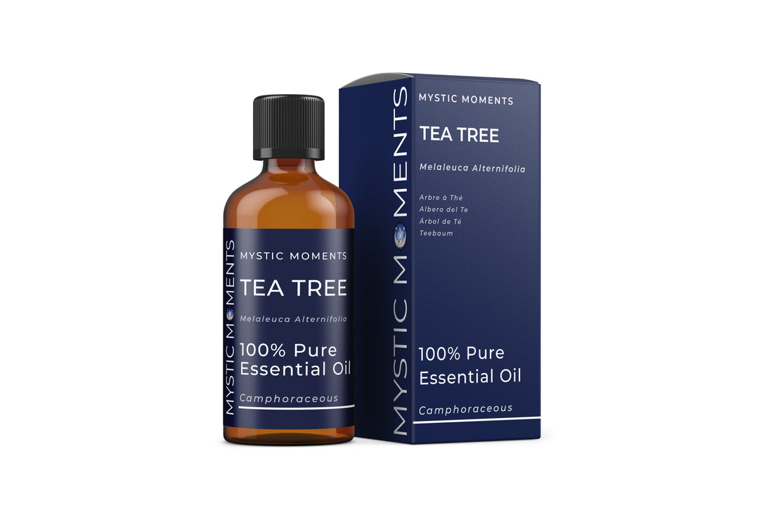 Aceite esencial de árbol de té