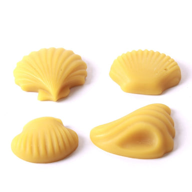 Assorted Shells Cake/Jelly/Soap Silicone Soap Mould C0007 - Mystic Moments UK