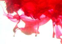 Fuchsia Soap Dye - Mystic Moments UK