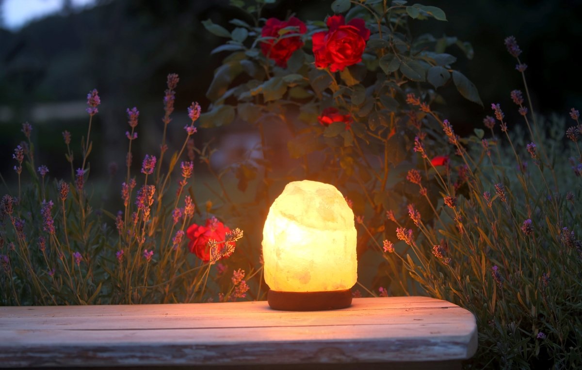 Natural Himalayan Salt Lamp 2-4Kg - Mystic Moments UK